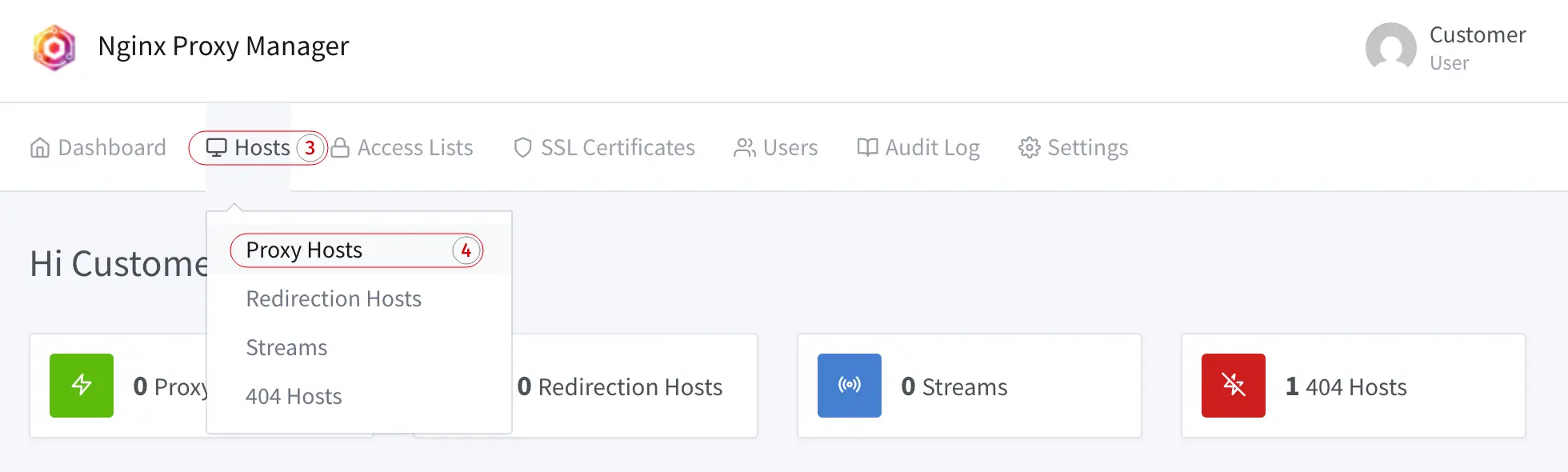 Главная Nginx Proxy Manager